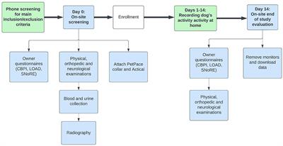 Initial exploration of the discriminatory ability of the PetPace collar to detect differences in activity and physiological variables between healthy and osteoarthritic dogs